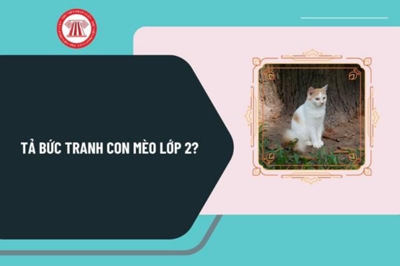 Hinh anh mot chu meo dang nam ngu ngon lanh tren tham, bo long muot ma khien no trông thật ấm áp và bình yên, minh hoa cho bai van ta con meo lop 5.